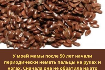 После 50 лет у моей мамы стали периодически неметь пальцы на руках и ногах. Сначала она не обратила на это внимания, но когда дискомфорт усилился, поделилась проблемой с подругой-медсестрой. Та сказала, что причина в сосудах. А что именно она посоветовала