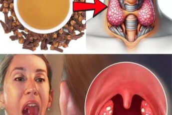 Семейный врач велел жевать сушеную гвоздику… Потрясающий эффект!