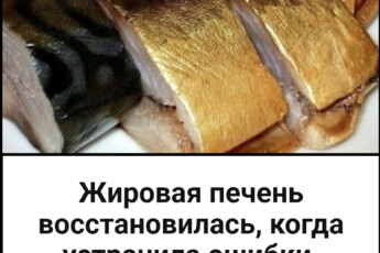 Жировая печень восстановилась, когда устранила ошибки. Эксперт назвал 7 продуктов, которые любит наша печень