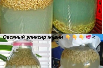 Эликсир жизни – поднимет на ноги даже самого тяжелого больного: решает многие проблемы со здоровьем и восстанавливает силы.