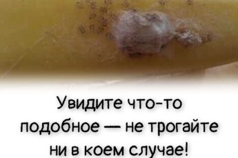 Увидите что-то подобное — не трогайте ни в коем случае! Сообщите сотрудникам магазина и уходите!