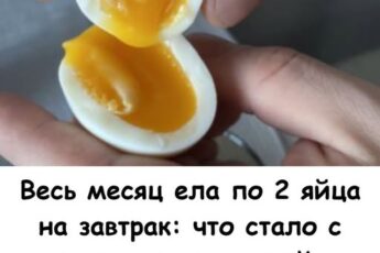 Весь месяц ела по 2 яйца на завтрак: что стало с моим весом, кожей и холестерином (честный эксперимент)