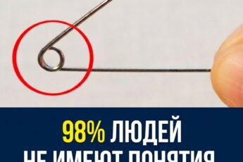 Мало кто догадывается о настоящем предназначении английской булавки. Почему я не открыл эту истину раньше?