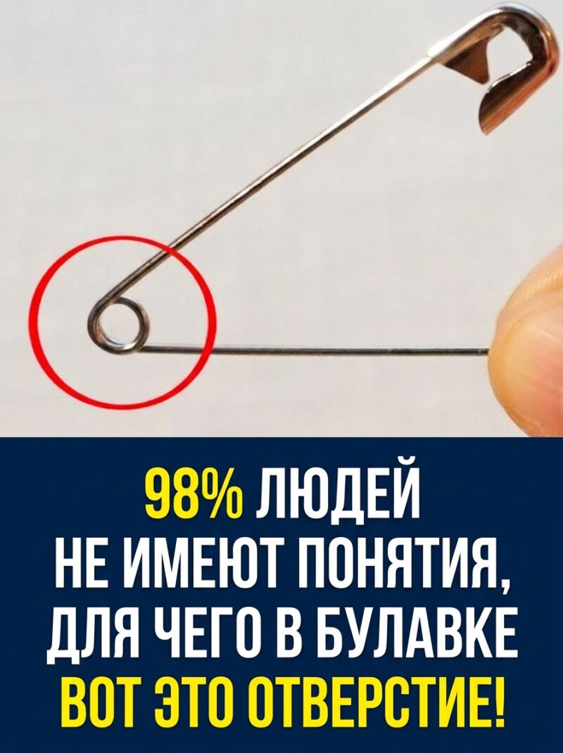 Мало кто догадывается о настоящем предназначении английской булавки. Почему я не открыл эту истину раньше?