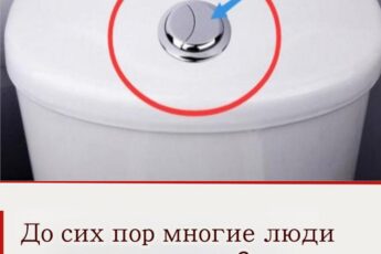 Ну вот, а я-то всё это время именно так и считал!
