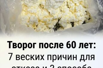Творог для тех, кому за 60: 7 аргументов против и 3 способа извлечь пользу
