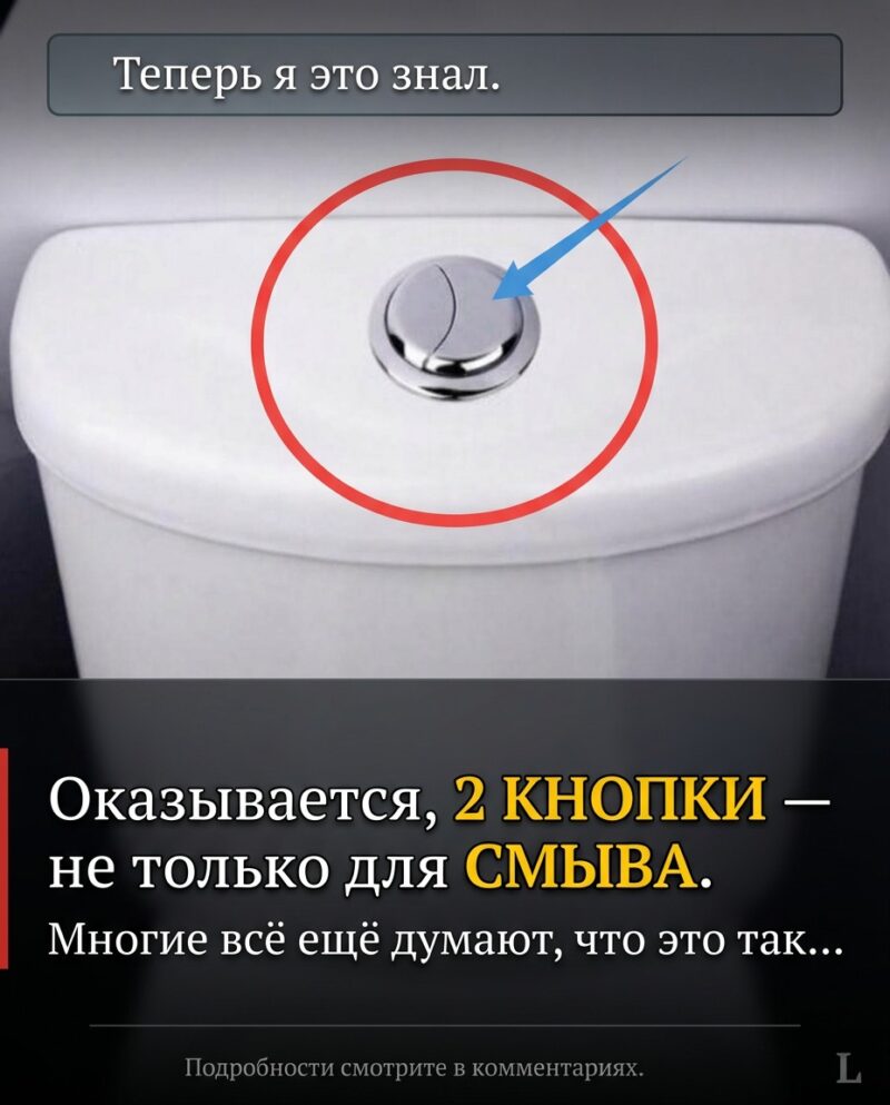 Что ж, вот так! А я, между прочим, всё это время именно так и полагал!