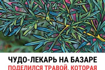 Чудо - лекарь на базаре поделился травой ктр спасает от опухолей...