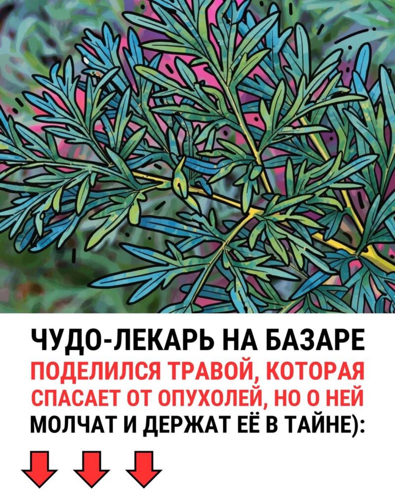 Чудо - лекарь на базаре поделился травой ктр спасает от опухолей... Чудо - лекарь на базаре поделился травой ктр спасает от опухолей...