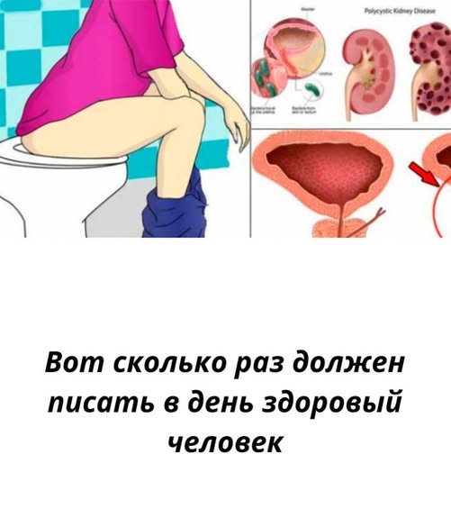 Да, оказывается, это говорит о состоянии организма гораздо больше, чем мы привыкли думать…