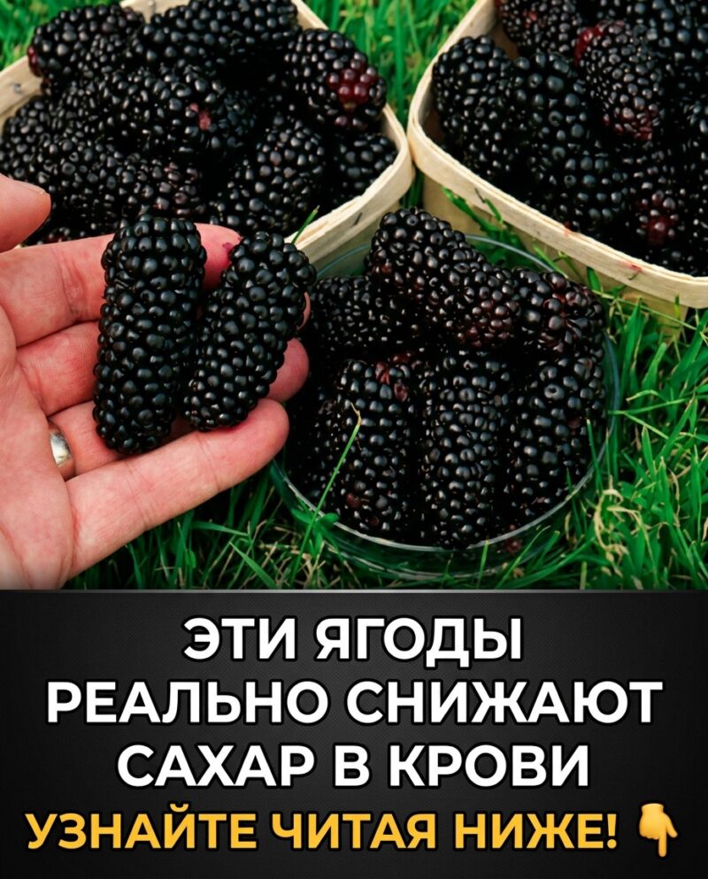 Диабетики, внимание! ⚠️🍓 Вот 10 фруктов, способных снизить сахар в крови — а фрукт под номером 7 удивит даже опытных медиков!