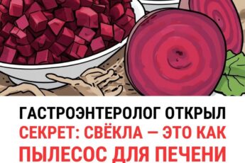 Гастроэнтеролог открыл секрет - свекла это как пылесос для печени...