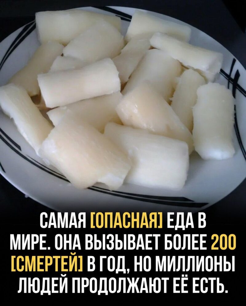 И я тоже И я тоже