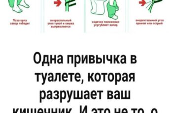 Одна привычка в туалете, которая разрушает ваш кишечник. И это не то, о чём вы думаете