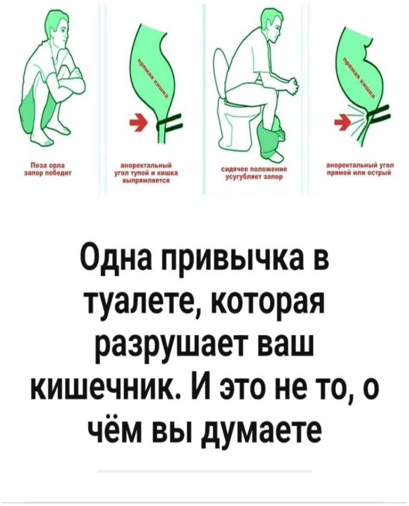 Одна привычка в туалете, которая разрушает ваш кишечник. И это не то, о чём вы думаете Одна привычка в туалете, которая разрушает ваш кишечник. И это не то, о чём вы думаете