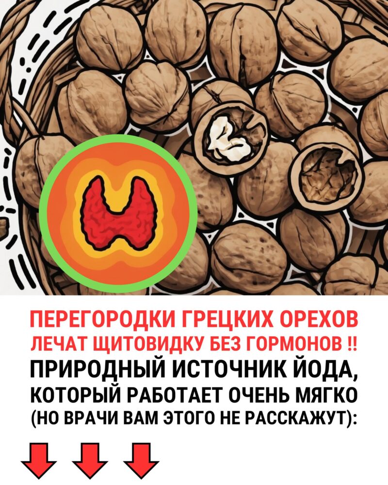 Перегородки грецких орехов лечат щитовидку лечат без гормонов