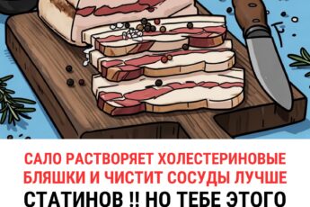 Сало растворяет холестериновые бляшки и чистит сосуды ...