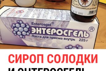 Солодка — растение с уникальными свойствами, которое способствует