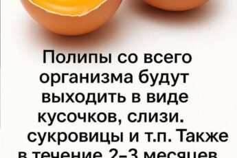 Сварите вкрутую 7 куриных яиц и отделите желтки. Затем высушите, только чтобы не....