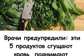Врачи предупредили: эти продукты сгущают кровь, поднимают давление и опасны после 40 лет.