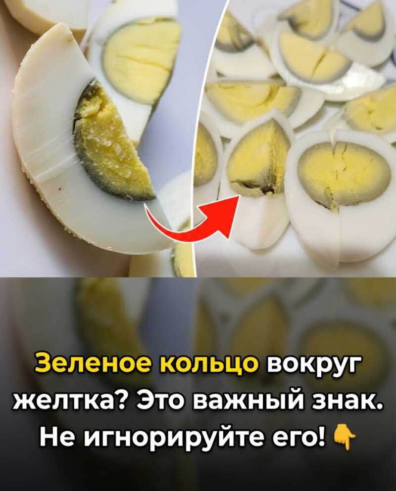 Если вокруг яичного желтка заметен зеленый ободок, это говорит о том, что.. Если вокруг яичного желтка заметен зеленый ободок, это говорит о том, что..