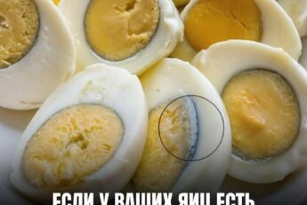 Когда вы замечаете зеленоватое кольцо вокруг яичного желтка, это свидетельствует о том, что ...