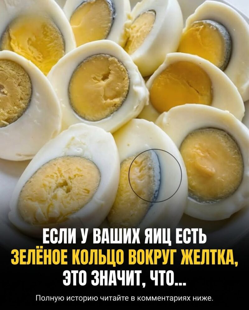 Когда вы замечаете зеленоватое кольцо вокруг яичного желтка, это свидетельствует о том, что ...