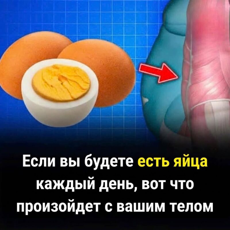 Приготовьтесь к потрясению от того, что творится в вашем организме Приготовьтесь к потрясению от того, что творится в вашем организме