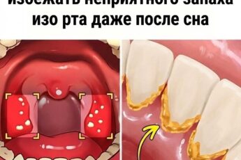 Я понятия не имел